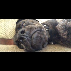 Meet your Posher, Aubrey